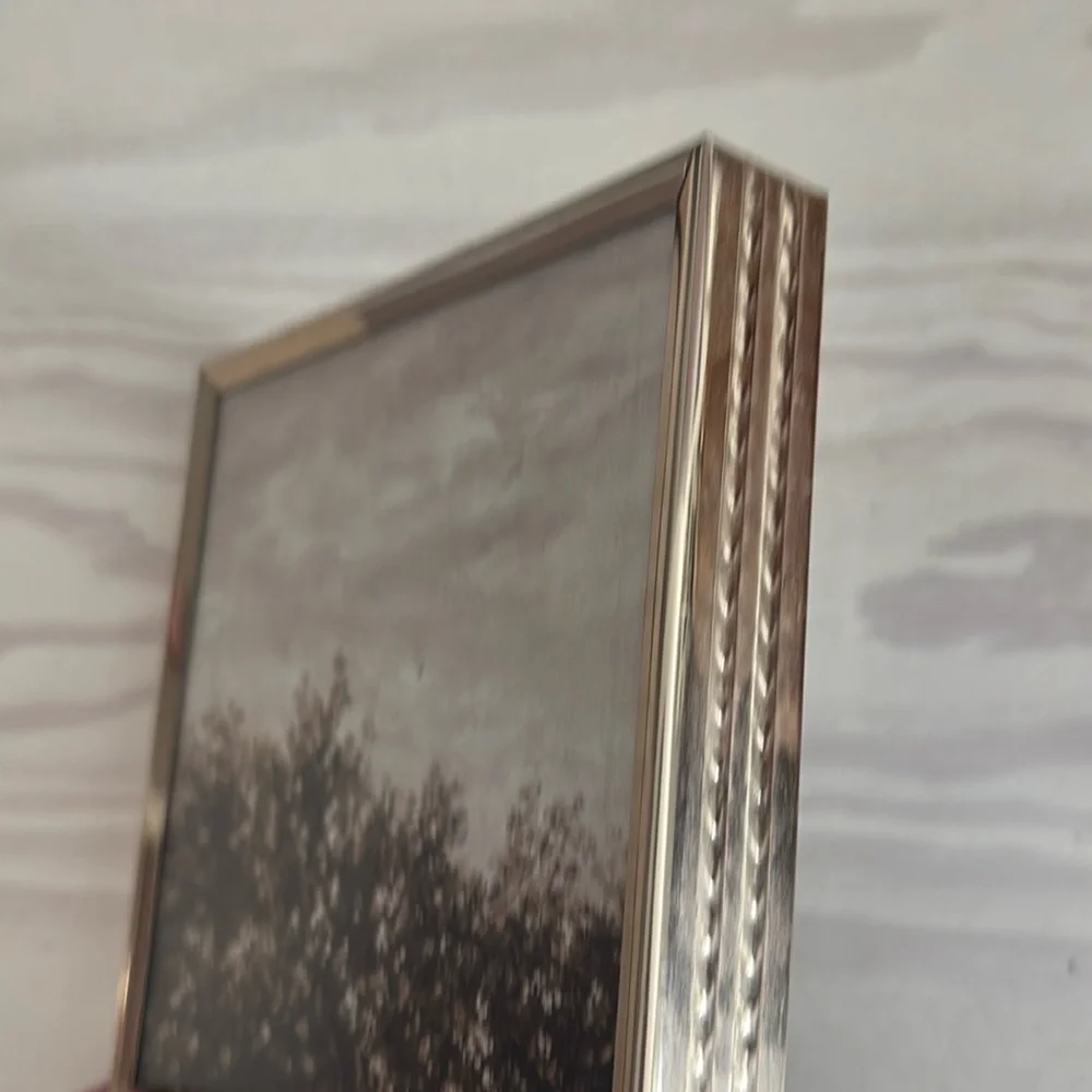 VTG Brass Shadow Box Style Frame‎ with Moody Trees Art Print 5x7